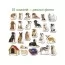 Набор магнитов Breeds of dogs Magdum ML4031-20EN
