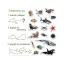 Набор магнитов Sea photo Magdum ML4031-28 EN