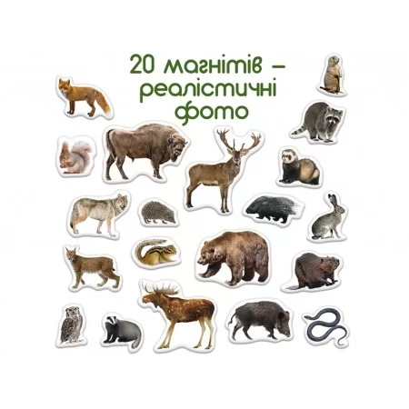Набор магнитов Forest photo Magdum ML4031-29 EN