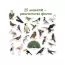 Набор магнитов Birds photo Magdum ML4031-30 EN