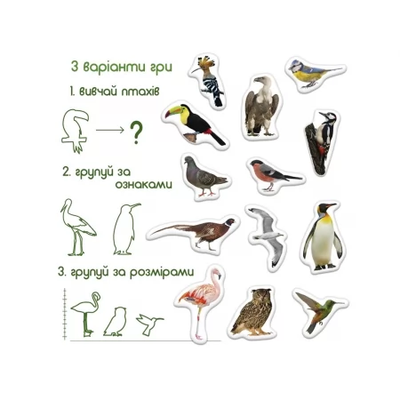 Набор магнитов Birds photo Magdum ML4031-30 EN