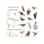 Набор магнитов Birds photo Magdum ML4031-30 EN