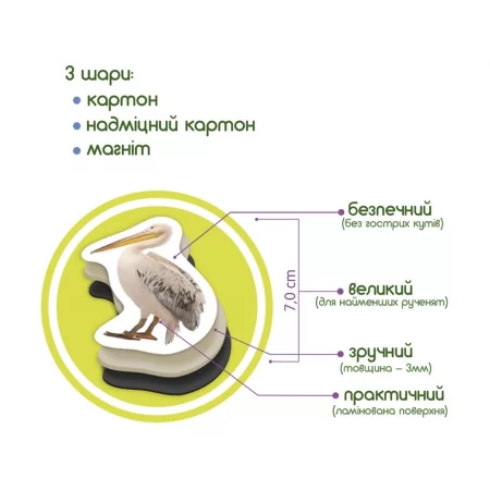 Набор магнитов Birds photo Magdum ML4031-30 EN