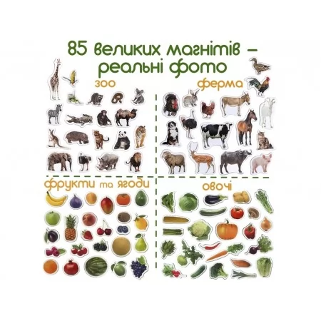 Набор магнитов 4in1 Вaby world 85 шт Magdum ML4031-61 EN Набор магнитов 4in1 Вaby world 85 шт Magdum ML4031-61 EN