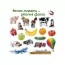Набор магнитов 4in1 Magnetic Gift puzzle for baby 54 шт Magdum ML4031-62 EN