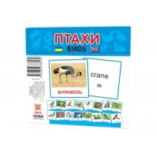 Карточки мини Птицы 110х110 мм ZIRKA 72753 286288