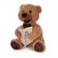 Игра FT 0034 аудио-сказка, мишка25см,плюш, звук-УКР.сказки, 8карточек, подвижный корпус, 2 цвета, на бат-ке,в кор-ке Игра FT 0034 аудио-сказка, мишка25см,плюш, звук-УКР.сказки, 8карточек, подвижный корпус, 2 цвета, на бат-ке,в кор-ке