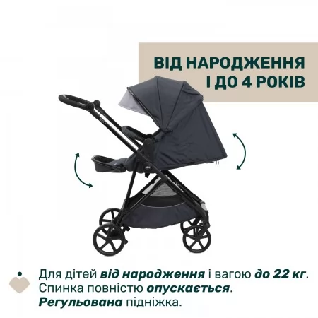 Коляска 2 в 1 Seety арт. 87097.53.01 цвет Серый