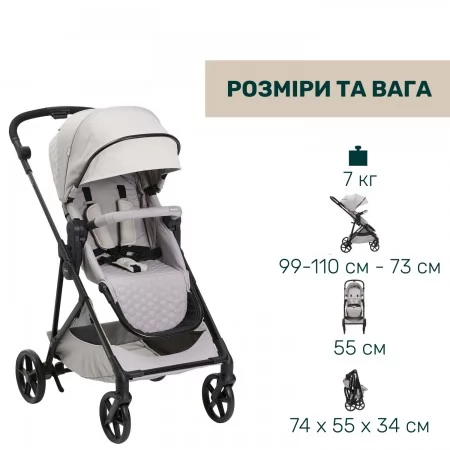 Коляска 2 в 1 Seety арт. 87097.70.01 колір Сірий