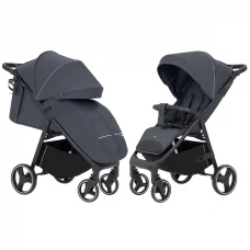 Прогулянкова коляска CARRELLO Bravo CRL-8512 Timber Grey 