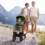 Прогулянкова коляска Dolomiti арт. 87163.12 колір Сірий
