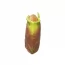Детская мягконабивная игрушка TY SQUISH-A-BOOS 39251 "GROOT", 20 см, 39251 Детская мягконабивная игрушка TY SQUISH-A-BOOS 39251 "GROOT", 20 см, 39251