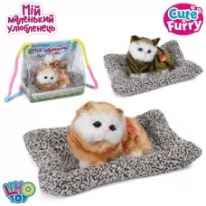 Мягкая игрушка 2604-05 кот на коврике (кот 10,5см, коврик-антистресс, 21-13см), звук, 2 вида, на бат-ке(табл), в сумке (длинная ручка), 18-17-10см Мягкая игрушка 2604-05 кот на коврике (кот 10,5см, коврик-антистресс, 21-13см), звук, 2 вида, на бат-ке(табл), в сумке (длинная ручка), 18-17-10см