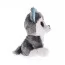 М'яка іграшка TY Beanie Boos Хаскі Слаш 15 см