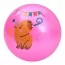 Мяч детский BabyToys MS 4906 9 дюймов капибара 5 цветов
