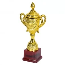 Кубок MS 4965-2 золото, кубок для нагородження, 29,5-14-8,5см, в кор-ці, 10-31-10см