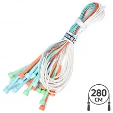 Скакалка BabyToys MS 4796 ПВХ з пластиковими ручками 280 см Скакалка BabyToys MS 4796 ПВХ з пластиковими ручками 280 см